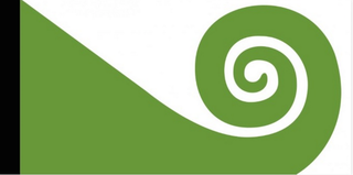 Illustration for article titled Los ciudadanos de Nueva Zelanda votarán el diseño de su nueva bandera